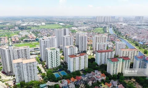 Rà soát các bất cập của hệ thống thông tin đất đai