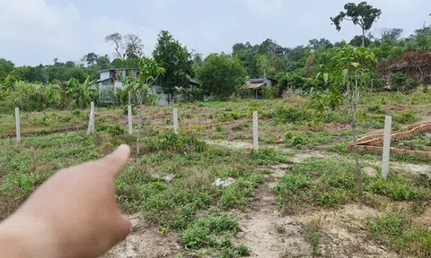 Khởi tố kẻ mạo danh cán bộ, chỉ bừa lô đất trống để lừa tiền đặt cọc