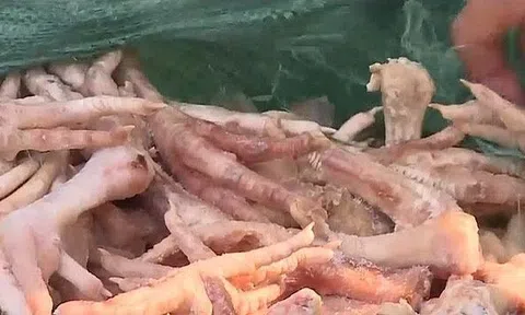 Hà Nội: Phát hiện hơn 3 tấn chân gà bẩn chuẩn bị tuồn ra thị trường