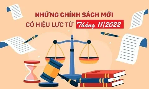 Những chính sách mới nổi bật có hiệu lực từ tháng 11/2022