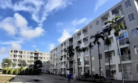 Cần Thơ: Xử lý hành vi rao bán nhà ở xã hội không đúng quy định