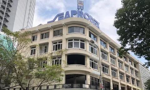 Tổng Công ty Thủy sản Việt Nam (SEA): lợi nhuận sụt giảm 82% trong quý III/2023