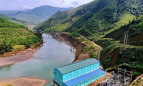 PIC thua lỗ sau 6 quý liên tiếp có lãi