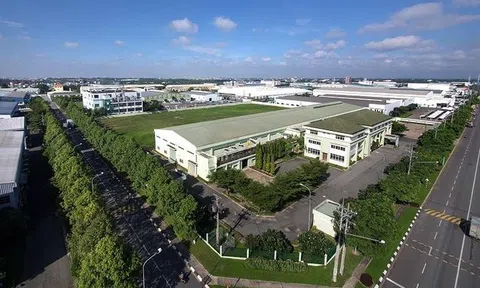 VRG ghi nhận khoản lỗ kỷ lục trong quý III/2023