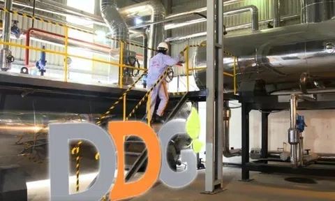 Lũy kế 9 tháng đầu năm, DDG lỗ hơn 192 tỷ đồng