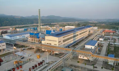 KSV bị xử phạt vi phạm hành chính gần 88 tỷ đồng