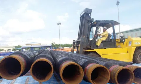 Doanh thu tăng đột biến, PVB có lãi trở lại sau một năm thua lỗ