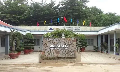 Vượt xa kế hoạch 2023, Đá Núi Nhỏ (HoSE: NNC) đặt mục tiêu gì cho năm 2024?