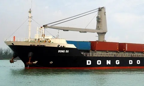 Hàng hải Đông Đô (DDM) giải thích thế nào về ý kiến kiểm toán ngoại trừ và khoản lỗ hơn 100 tỷ đồng năm 2023?