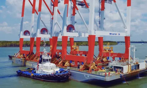 Dịch vụ biển Tân Cảng (UPCoM: TOS) đặt nhiều kỳ vọng trong năm 2024