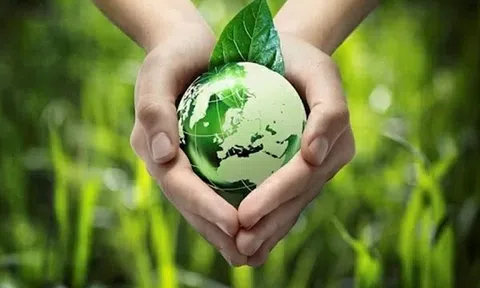 Sống xanh vì môi trường sạch bền vững