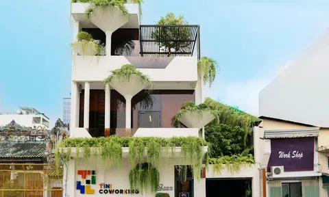 TINI COWORKING: Bản giao hưởng văn phòng xanh thế hệ mới