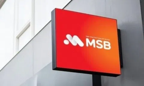 Bắt tạm giam nữ Giám đốc Ngân hàng MSB chi nhánh Thanh Xuân