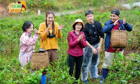 Quyền Linh cùng dàn nghệ sĩ trẻ trải nghiệm hái chè, bát hàu tại Quảng Ninh