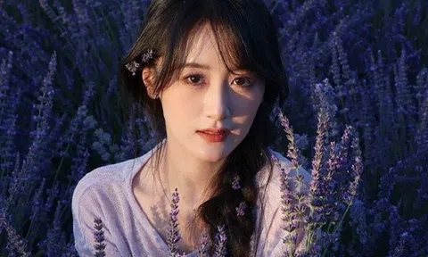 Sau 4 năm vướng bê bối trốn thuế, Viên Băng Nghiên gây xôn xao khi có dấu hiệu trở lại