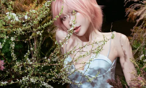 Từ “Chị Đẹp” đến sân chơi quốc tế: Trang Pháp chính thức góp mặt tại Đạp Gió 2026