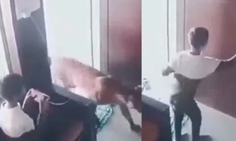 Thót tim khoảnh khắc cậu bé 12 tuổi thông minh tìm cách thoát khỏi khi chạm trán con báo hung dữ