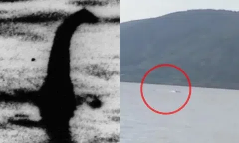 Tuyên bố mới về hình dáng, đặc điểm của quái vật Loch Ness khiến giới thợ săn choáng váng