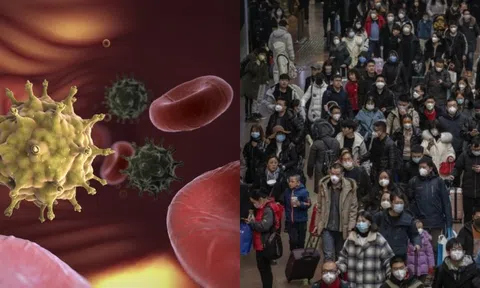 12 loại virus nguy hiểm nhất lịch sử, một trong số đó đang bùng phát trở lại