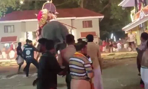 Clip: Khoảnh khắc kinh hoàng 2 con voi nổi cơn thịnh nộ tấn công người trong lễ hội