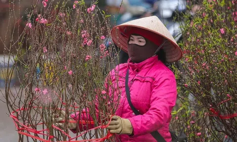 Dự báo thời tiết Tết Nguyên Đán 2025 cả 3 miền Bắc -Trung - Nam