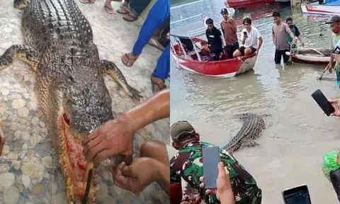 Cá sấu khổng lồ ngoi lên mặt nước tấn công ngoạm chặt người phụ nữ trong hàm, người dân bất lực không thể cứu