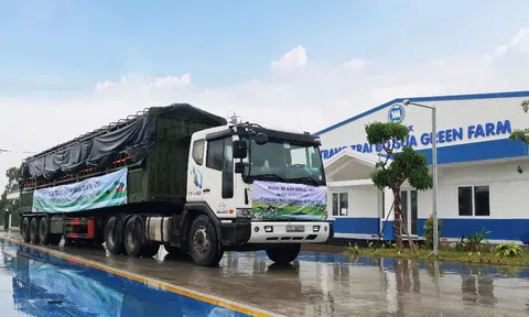 Vinamilk nhập khẩu hơn 2.100 bò sữa HF thuần chủng từ Mỹ về trang trại mới tại Quảng Ngãi