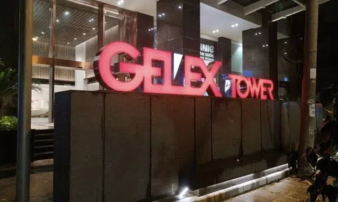 Gelex báo lãi gấp đôi, hoàn tất thâu tóm Viglacera