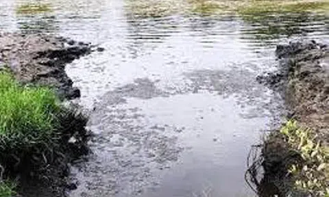 Cà Mau: Xử phạt công ty thủy sản xả thải ra môi trường 608 triệu đồng