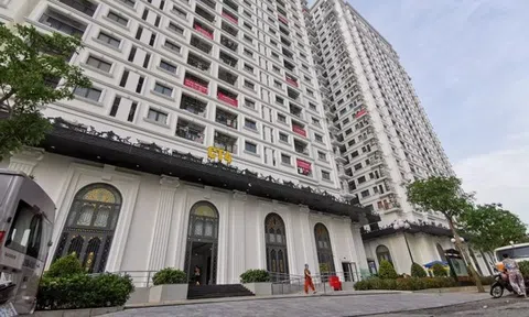 Những lô đất vàng Nhà nước bị Vimedimex của ‘nữ tướng’ Nguyễn Thị Loan thâu tóm thế nào?