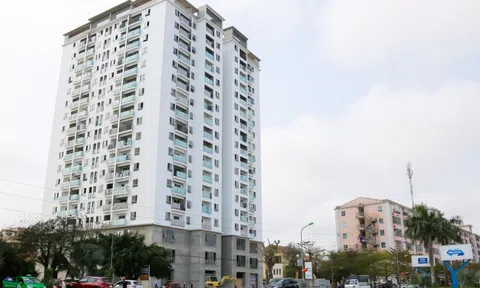 Hai thành viên thuộc Tập đoàn Tecco của Chủ tịch Nguyễn Thế Mạnh bị bêu tên nợ thuế tại Nghệ An