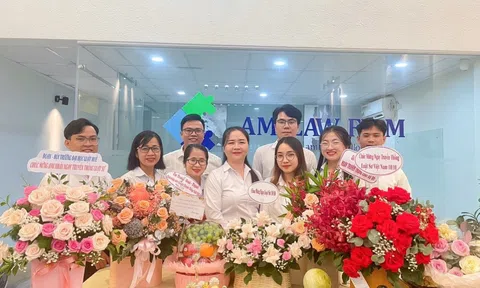 Công ty Luật TNHH Một thành viên AMI thành lập chi nhánh tại Đà Nẵng