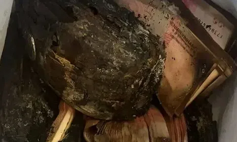 Không trộm cắp, không lừa đảo: Tiền vẫn 'mất sạch' chỉ sau một đêm