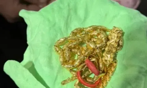 Dọn nhà giúp mẹ, người phụ nữ 'tiễn thẳng' hơn 100g vàng vào thùng rác