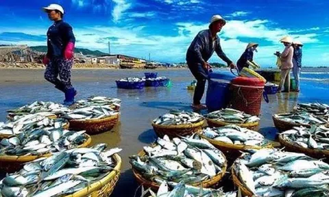 Loại “lộc biển” mang về 1 tỷ USD sau 1 tháng: Brazil tăng mua hơn 100%