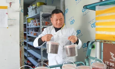 Từ cậu bé mồ côi trong sổ hộ khẩu chỉ còn một cái tên đến ông chủ chuỗi nhà hàng doanh thu 15 tỷ đồng/năm