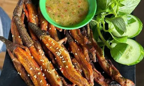 “Con vật 4 chân từng khiến nhiều người giật mình” hóa đặc sản miền Tây: Giá tới 350.000 đồng/kg, nhà hàng săn lùng