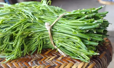 Ngửi xa đã “né”, ăn rồi lại mê: Loại rau rừng gây tranh cãi ở Tây Bắc