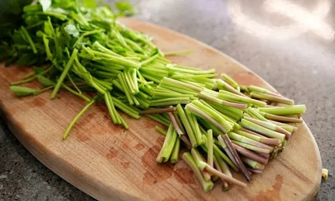 Những loại rau quen thuộc dễ thành "ổ ký sinh trùng", mắt thường không thấy, cái số 2 nhiều nhà ăn sống thường xuyên