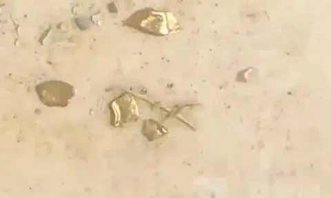 Chuyện lạ: Mổ vịt bỗng nhặt được vàng trong bụng con vật