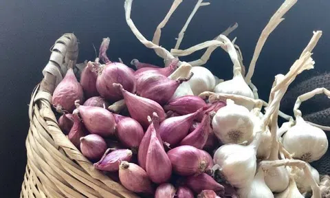 Hành tím, tỏi để lâu không mọc mầm: Chỉ cần làm đúng 3 điều này, để cả tháng vẫn tươi