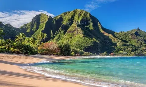 Hé lộ hầm trú ẩn khổng lồ trị giá 260 triệu USD của Mark Zuckerberg trên một hòn đảo biệt lập