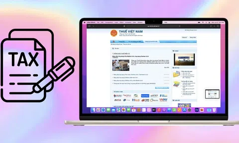 3 cách cập nhật thông tin CCCD vào mã số thuế đơn giản, có thể làm ngay tại nhà