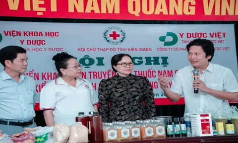 Tập Đoàn Y Dược Việt: Ứng dụng cây thuốc nam trong việc kiểm soát các bệnh mãn tính không lây trong cộng đồng