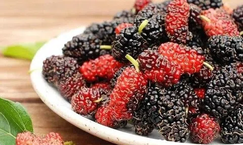 Dâu tằm đang vào mùa nên giá cực rẻ nhưng có 4 nhóm người không nên ăn nhiều