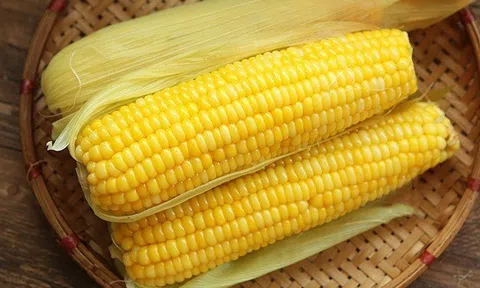 Ngô ngọt siêu lành tính nhưng vẫn có 1 trường hợp không nên ăn