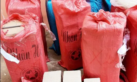 Đào hầm bí mật cất giấu hơn 1,1 tấn pháo chờ Tết bán