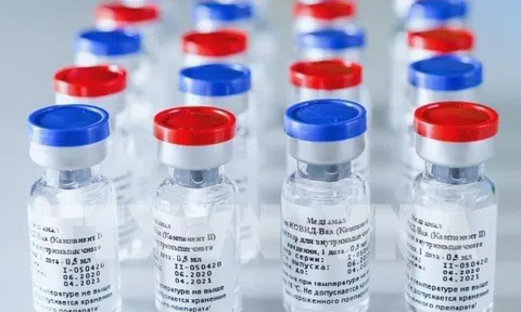 Nga lên kế hoạch sản xuất hàng triệu liều vaccine mỗi tháng