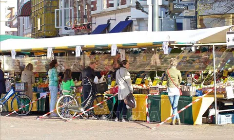 Nhà Vua và Hoàng hậu Hà Lan xin lỗi vì vi phạm quy định giãn cách xã hội