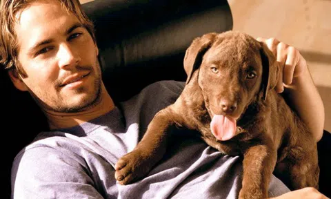 Điểm tên những ngôi sao Hollywood đột ngột qua đời khi tuổi còn trẻ